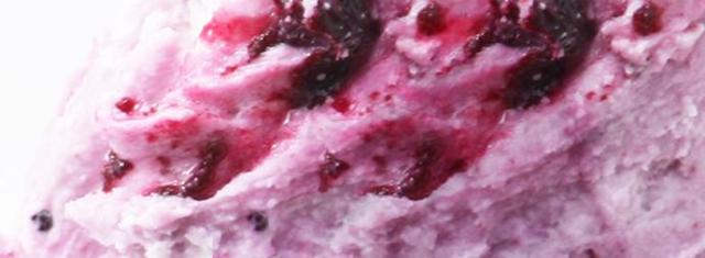 20120712_blueberryice2.JPG