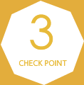 CHECK POINT3